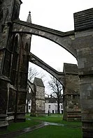 IMG_6271.webp